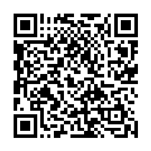 我记得上一次紫薇宗内门弟子考核其中有三人的实力最出彩二维码生成