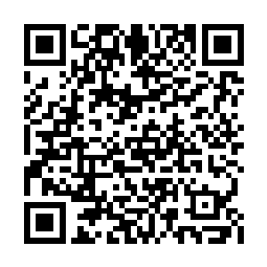 我记得上个月她好像是央视某档综艺节目的嘉宾二维码生成