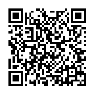 我记得上次我们来这里已经是十万年前的事情了吧二维码生成
