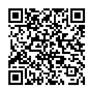 我记得他们在凤麟城的时候已经得到那里的神兽传承二维码生成