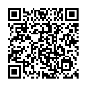 我记得你先前在背包里带了点面包之类的食品的二维码生成