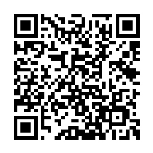 我记得你刚才还以蛊王的名誉发誓一定会杀掉我二维码生成