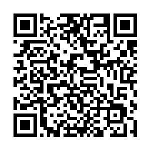 我记得你和汤姆不是正在拍摄库布里克的一部作品吗二维码生成