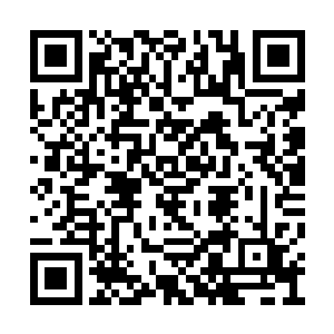 我记得你当初可是对享有特权的官吏嫉恶如仇的二维码生成