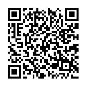 我记得前段时间你曾问过我关于青铜器的一些问题二维码生成