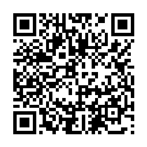 我记得咱们两个第一次交手最起码打了几十个回合二维码生成