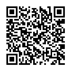 我记得咱们中三界有一些人是从下三界来的有钱人二维码生成
