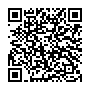 我记得咱们家那个自然道体莫小蝶对叶尘情有独钟对吧二维码生成