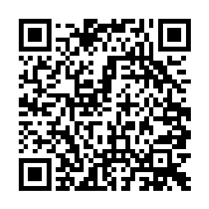 我记得好像是我们下一届也是这个利刃特种兵部队训的二维码生成