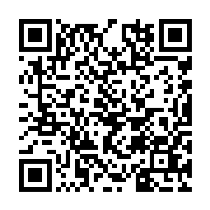 我记得我们家糖糖上幼儿园的时候有阵子也喜欢吃二维码生成