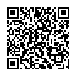 我记得最后侦察机最后一次发现是在第九十九区那边二维码生成