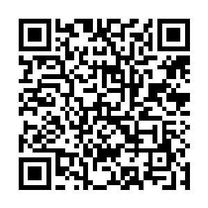 我记得有一次导师临时被校里的领导拉去出席某个会议二维码生成