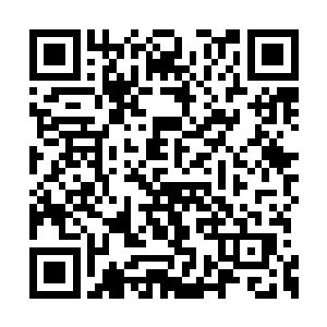 我记得进入青山书院的标准是年龄不超过一百岁二维码生成