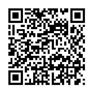 我讶然是否是噩梦中我已经自动冲开了奶奶的封印二维码生成