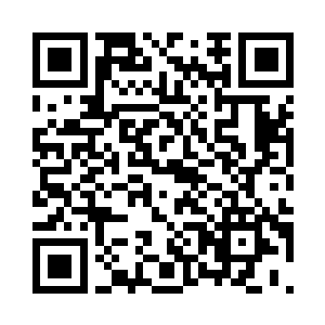 我诚实而快乐地度过了接下来每一天二维码生成