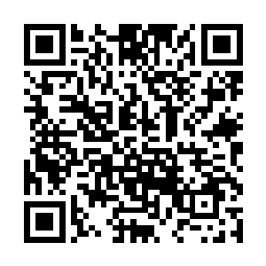 我说不是表白就不是表白……不是不是不是不是……二维码生成