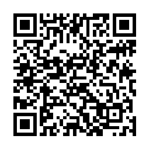 我说你有这乱跑的时间把自个的修为好好提升一下不行么二维码生成