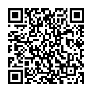 我说你该不会还惦记着早点回来跟你家颜晓夕约会吧二维码生成