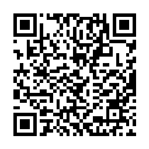 我说你难道忘了条约上的规定你看看现在是什么时候二维码生成