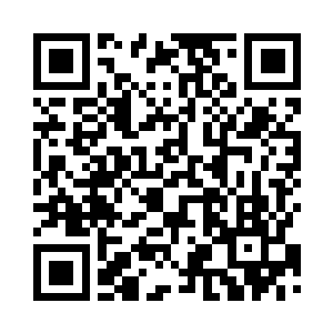 我说的可不是哨兵型那种小型机甲哦二维码生成