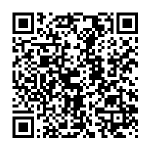 我说红蜘蛛的肚子里怎么找不到任何物品了呢……还以为是自己运气差二维码生成