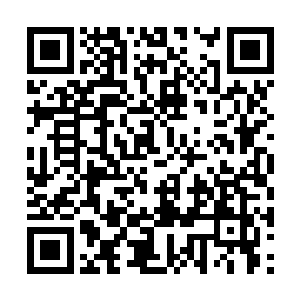 我赌你们不可能顺顺利利把我从太古遗迹中带出去二维码生成