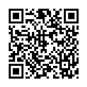 我跟他们仓库里要了一些卖不完的大骨头二维码生成