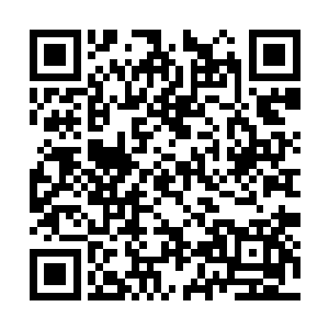 我跟你们说我从来没有想过世上还会有这几个货色二维码生成