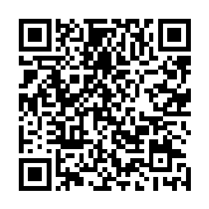 我跟外面绝大多数的人认为的那样只是个虚有名份的唐太太二维码生成