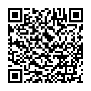 我跟林汉随便找了一张毛毯给老爷子盖在身上后二维码生成