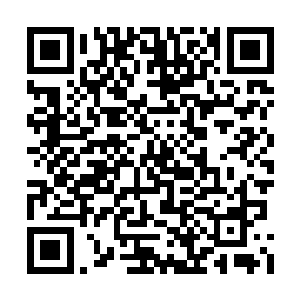 我跟老爷子胳膊上的衣服已经全都炸成碎片子了二维码生成