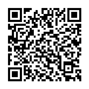 我跟齐前辈就来到了他在狮子山脚下的一间平房二维码生成