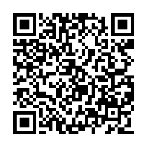 我身后所站着的异界可不是天蚕族他们可以比的二维码生成