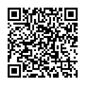 我身旁的郑小婉说完就和我的后桌郭睿眉来眼去了二维码生成