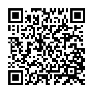 我身边就有很多女孩子想要做网上流传你做出来的那些美甲样式二维码生成