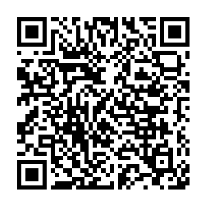 我躲在一棵树后借着夜晚的夜光看到老马在哪里做些我看不懂的行为二维码生成