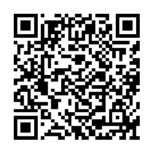 我躲在两个男同事的身后看着他近乎疯狂的样子二维码生成