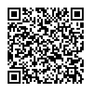 我还一直琢磨秦洛那小子的野路子都是从哪儿学的――现在明白了二维码生成