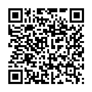 我还一直缠着妈妈给我买呢妈妈就说我是异想天开二维码生成