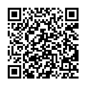 我还从来没听说过出租车能够和经过改装的跑车抗衡二维码生成