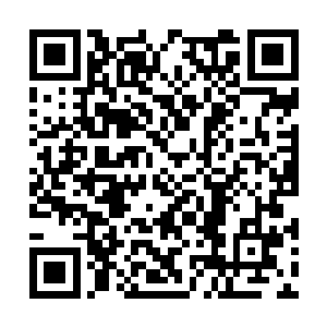 我还以为你这护臂是那个垃圾箱里翻出来的破烂呢二维码生成