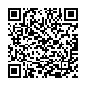我还以为庞悦这些手下尽是一帮唯唯诺诺不会说话的土鳖呢二维码生成
