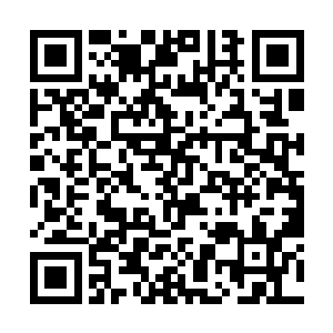 我还以为玉兰姨这么一张罗这些村民会特别的踊跃呢二维码生成