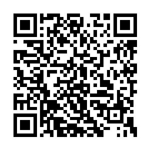我还以为等你跟百里几个人成熟起来接替怀瑾呢二维码生成