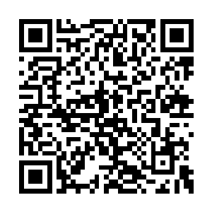 我还以为这死猫又从某个地方偷窥到我的计划了二维码生成