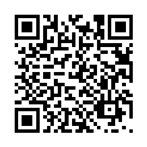 我还会教你们中另夏国有名的咏春拳二维码生成