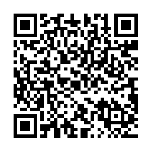 我还在强迫自己保持这种高强度快节奏的剧情推进速度二维码生成
