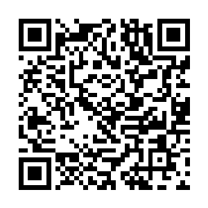 我还嫌他进度慢了影响到我们翻年之后的招商引资呢二维码生成