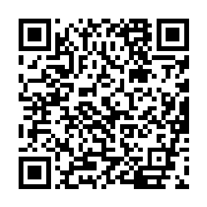 我还怕你们先跑了――到时候谁把我介绍给她认识呢二维码生成