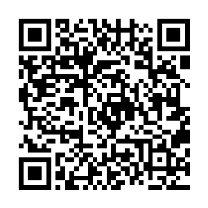我还是总域的域主――也有些域内杂事没有记录在玉简之内二维码生成